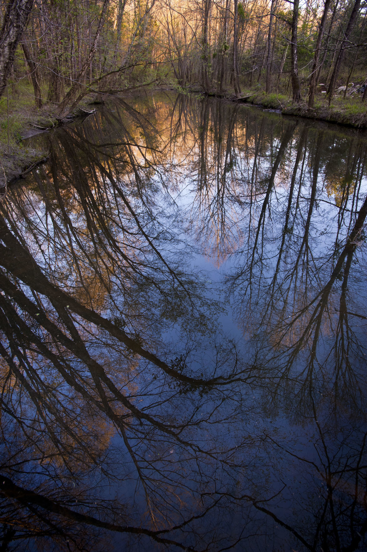 Farmington Nature Trail